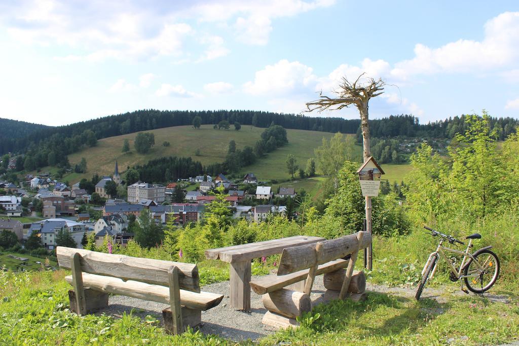 Hotel Zwota 3*